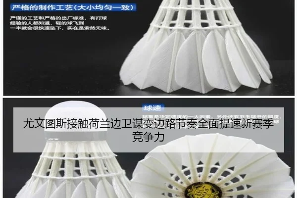 尤文图斯接触荷兰边卫谋变边路节奏全面提速新赛季竞争力